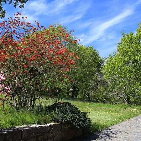 Aux Arbres Chanteurs * Ploulech